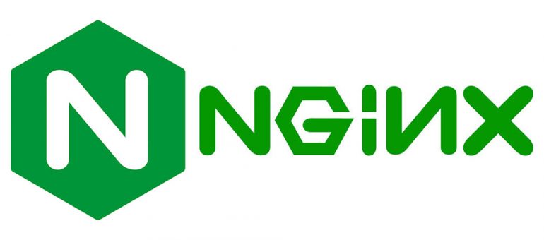 Nginx - конфигурационный файл Nginx - конфигурационный файл